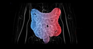 GutMicroBiotic