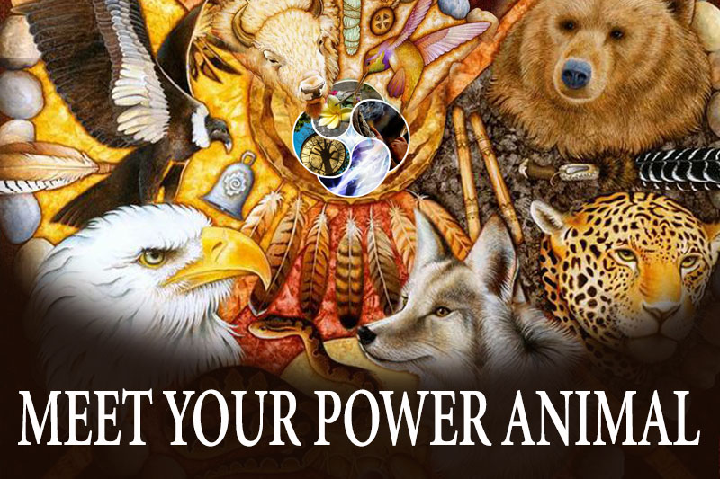 MEET YOUR POWER ANIMAL AND SPRIT ALLIES WITH SHAMANISM 101